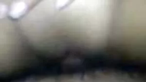 Suggadaddy Ploughs Pay per View Pussy