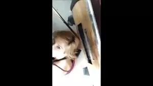 BANGBROS: Slut Next Door